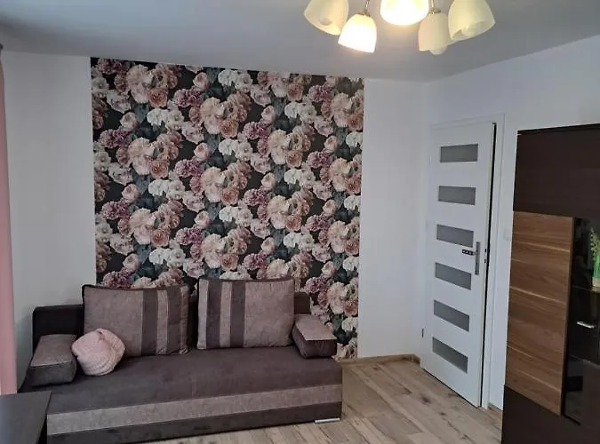 Na Starowce Lägenhet Pasłęk